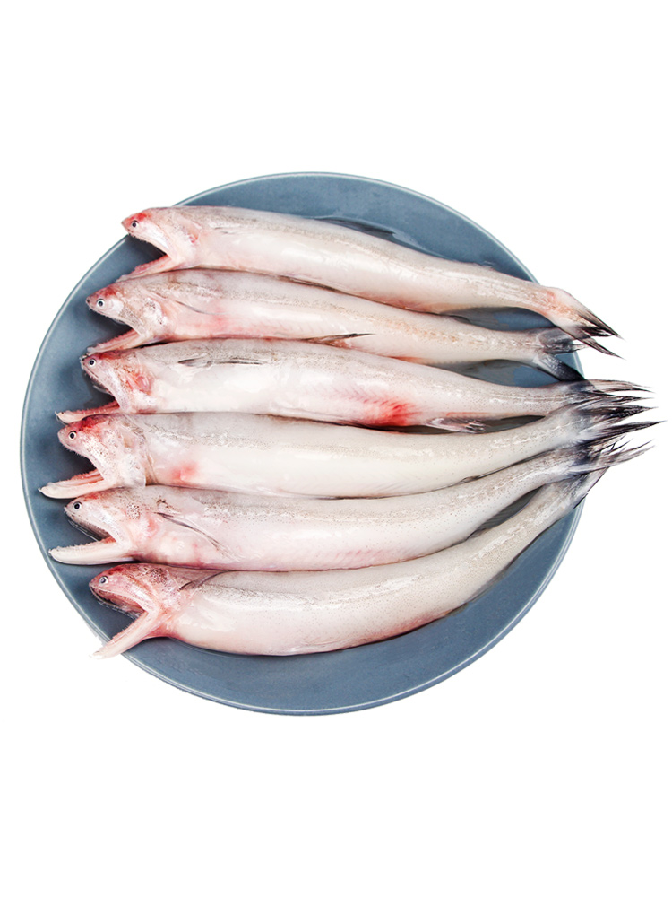 东海龙头鱼新鲜海鲜水产九肚鱼鲜活冷冻豆腐鱼水潺宝宝辅食鱼3斤